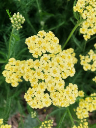 Similar image 22189395