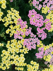 Similar image 22189396