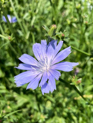 Similar image 22189399