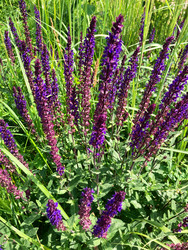 Similar image 22189401