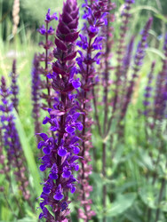 Similar image 22189402