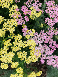 Similar image 22189403