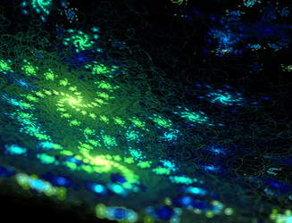 Similar image 22190974