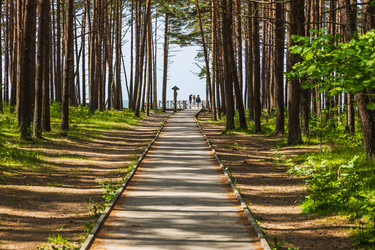 Similar image 22193734