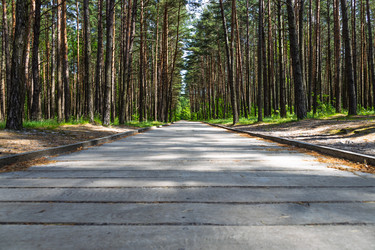 Similar image 22193737