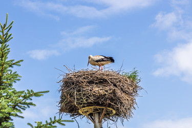 Similar image 22193739