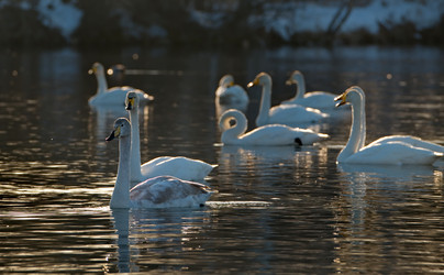 Similar image 22194333