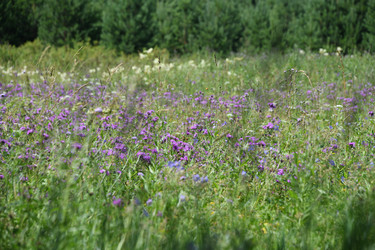 Similar image 22189539