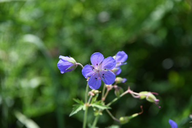 Similar image 22189540