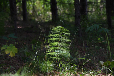 Similar image 22189541