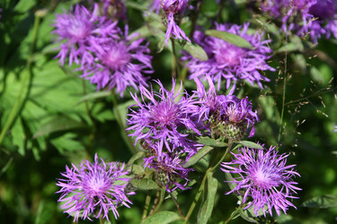 Similar image 22189542