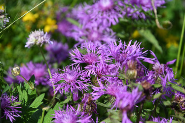 Similar image 22189543