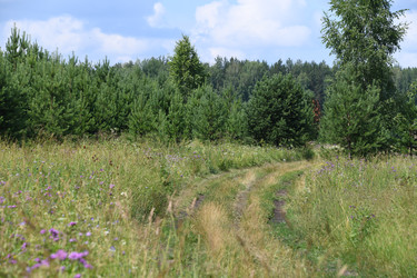 Similar image 22189544