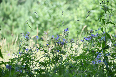 Similar image 22189545