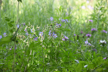 Similar image 22189547