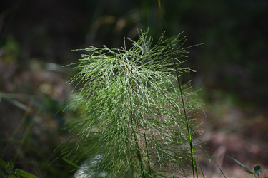 Similar image 22189549