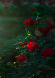 Similar image 22189416