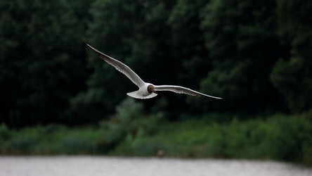 Similar image 22189434