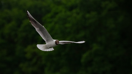 Similar image 22189435