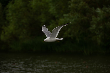 Similar image 22189436