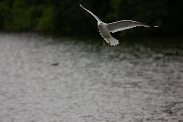 Similar image 22189437