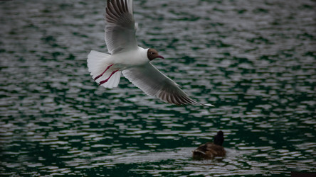 Similar image 22189438