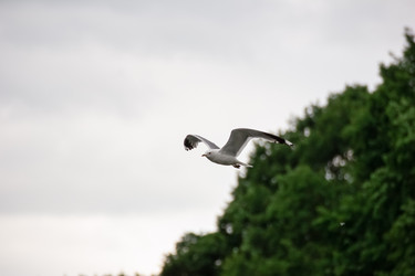 Similar image 22189439