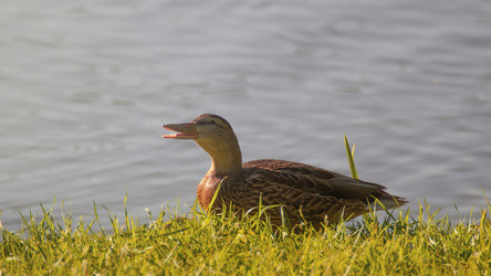 Similar image 22189440