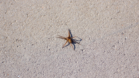 Similar image 22189441