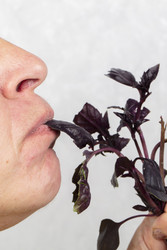 Similar image 22190061