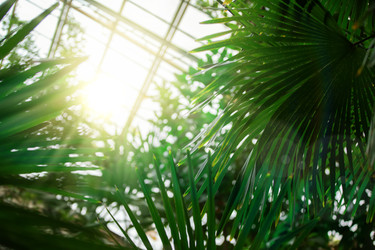 Similar image 22190077