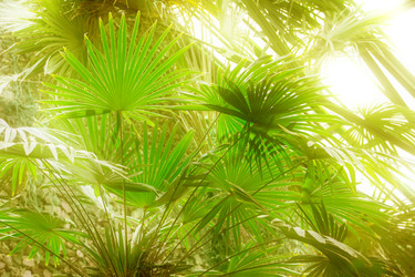 Similar image 22190078