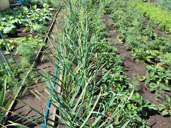 Similar image 22189444