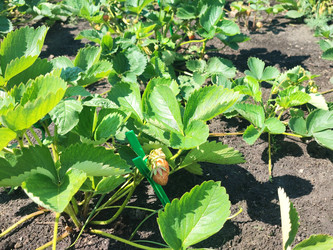 Similar image 22189445