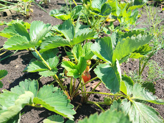 Similar image 22189446