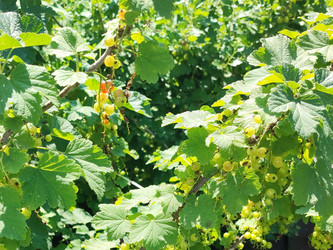 Similar image 22189447