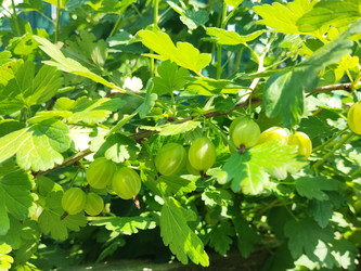 Similar image 22189448