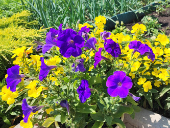 Similar image 22189450