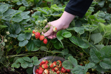 Similar image 22193758