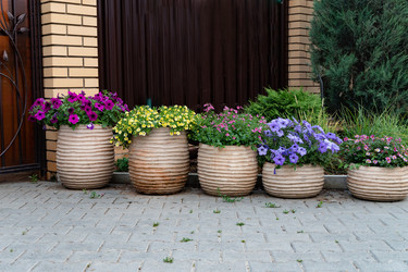 Similar image 22193760