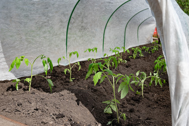 Similar image 22193763