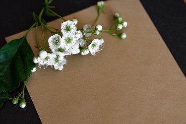 Similar image 22193766