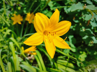 Similar image 22188742