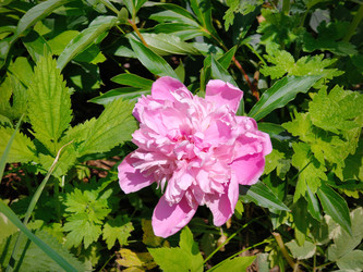 Similar image 22188743