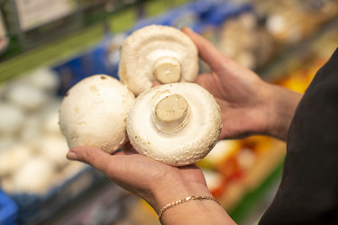 Similar image 22190115