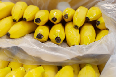 Similar image 22190119