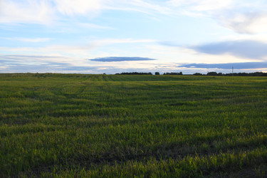 Similar image 22189554