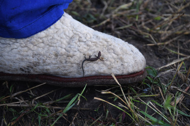 Similar image 22189561