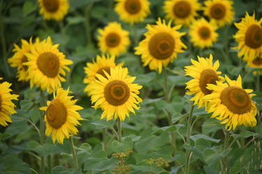 Similar image 22189589