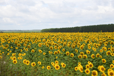 Similar image 22189590